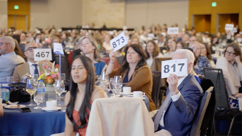 Denver Public Schools Foundation